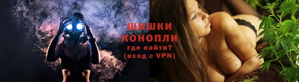 крисы Бронницы